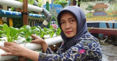 Eny Murtiningtyas, Sabet Penghargaan Hidroponik Surabaya dan Jatim