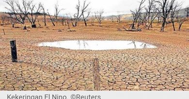 El Nino Datang, Kebakaran Hutan Lahan dan Kekeringan Menerjang