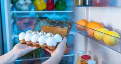 Telur di Kulkas: Praktis, tapi Benarkah Aman? Telur di Kulkas: Praktis, tapi Benarkah Aman?