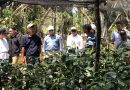Mangrove Clungup Berpeluang Hasilkan Kredit Karbon, Masyarakat Jadi Kunci