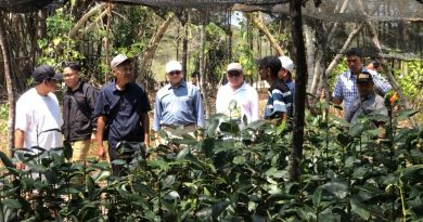 Mangrove Clungup Berpeluang Hasilkan Kredit Karbon, Masyarakat Jadi Kunci